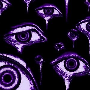 Meet your Posher, Zoey